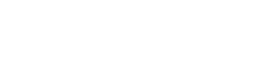 PAVEXA Logo